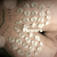 Flowers (creació de video)